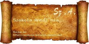 Szokola Antónia névjegykártya